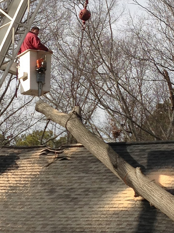Tree Pruning