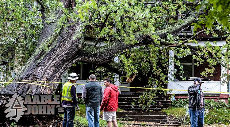 Emergency Tree Services Kennesaw GA