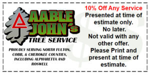 10% Off Any Service
