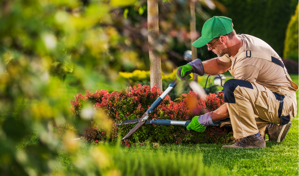 Landscaping Kennesaw GA