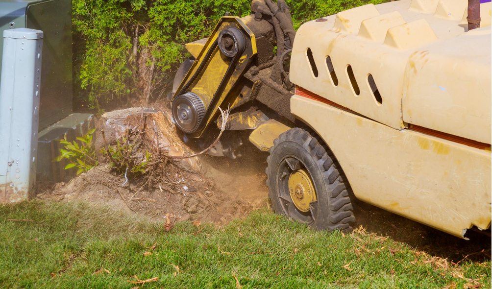 Stump Grinding Kennesaw GA