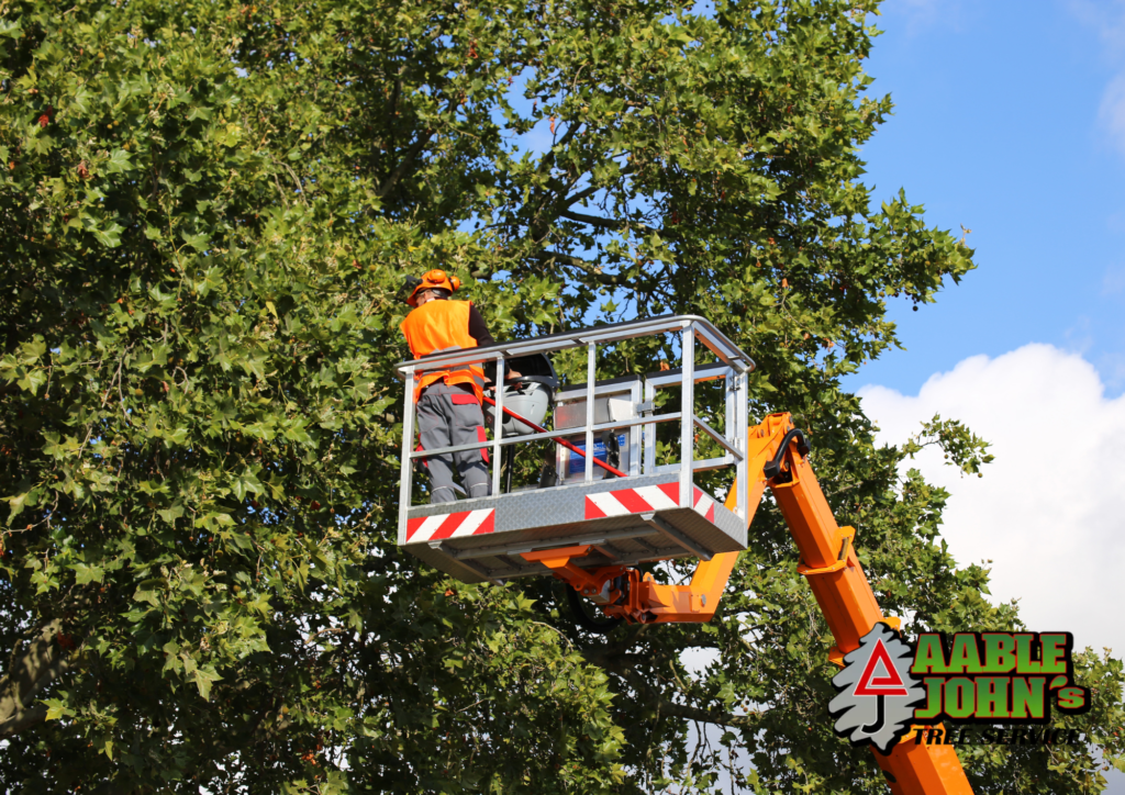 tree service Kennesaw GA